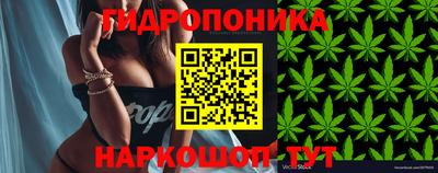 тгк Балашиха