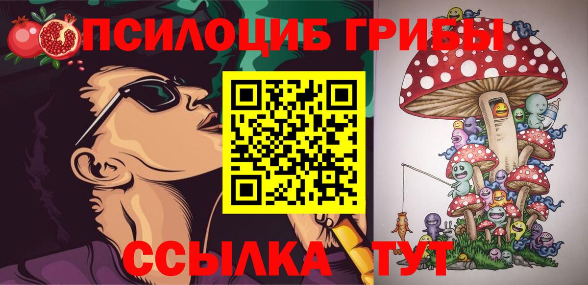 Псилоцибиновые грибы Psilocybe  даркнет сайт  Дивногорск  Вход с VPN 